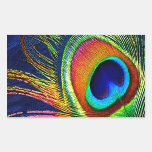 Sticker Rectangulaire Impression de plume de paon colorée