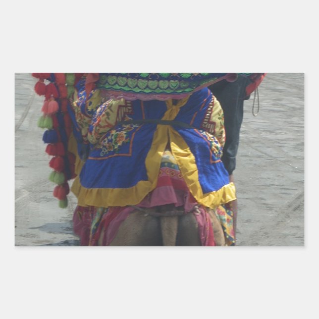 Sticker Rectangulaire Imprimé/graphique en forme de chameau (Devant)