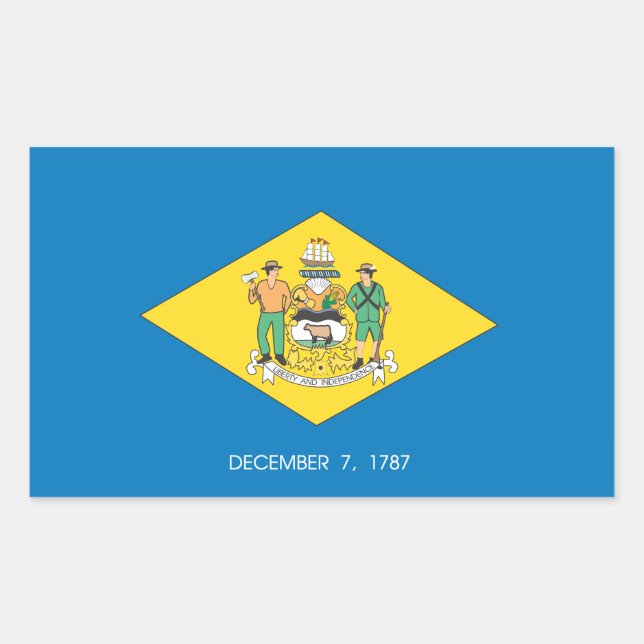 Sticker Rectangulaire Indicateur Delaware (Devant)