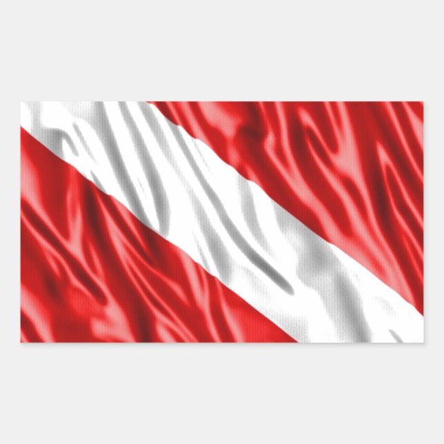 Sticker Rectangulaire Indicateur du lecteur (Devant)