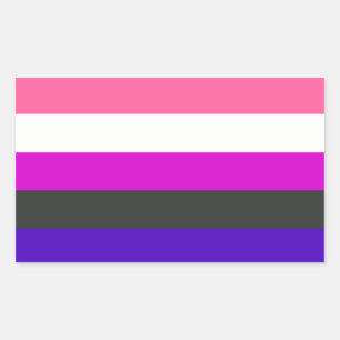 Sticker Rectangulaire Indicateur Genderfluide