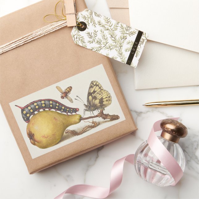 Sticker Rectangulaire Insectes de jardin, mouche, chenille, poire, mille (Cadeaux)