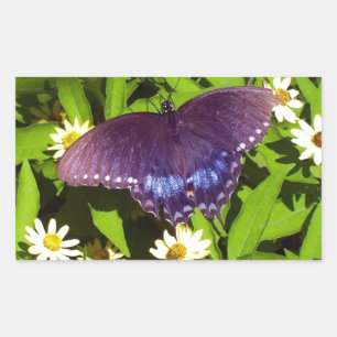 Sticker Rectangulaire Iridescente Bleu violet avec ailes de papillon noi