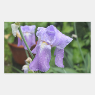 Sticker Rectangulaire Iris.