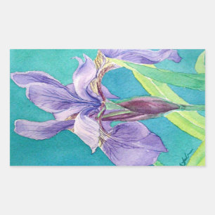 Sticker Rectangulaire Iris pourpre