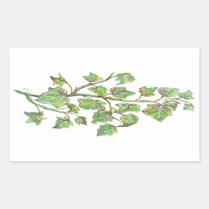 Sticker Rectangulaire Ivy anglais