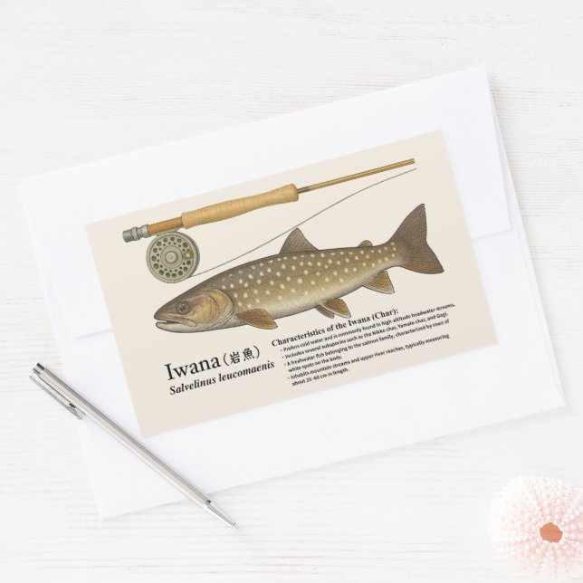 Sticker Rectangulaire Iwana (Salvelinus leucomaenis) – English Illust (Enveloppe)