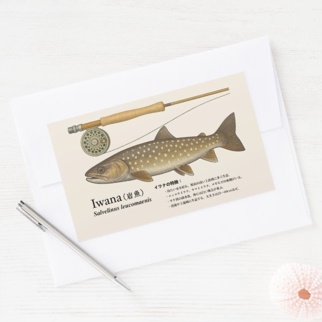 Sticker Rectangulaire Iwana (Salvelinus leucomaenis) – Japanese Illust (Enveloppe)
