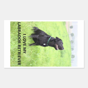 Sticker Rectangulaire J'adore mon Labrador Retriever noir