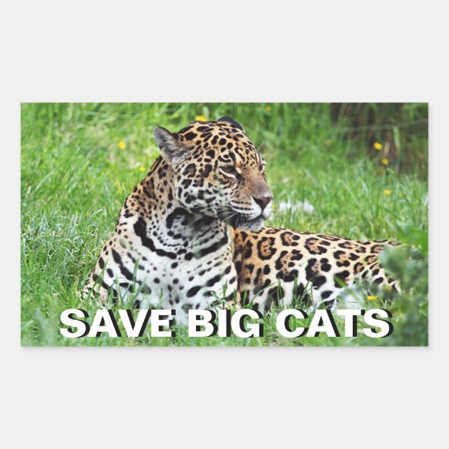 Sticker Rectangulaire Jaguar (Devant)