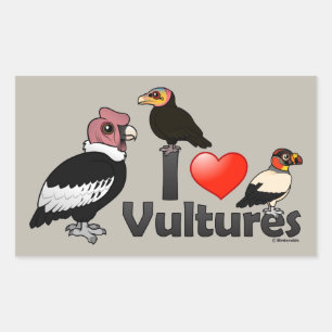 Sticker Rectangulaire J'aime des vautours (Amérique du Sud)
