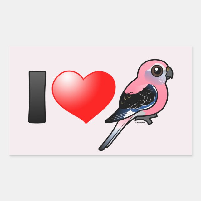 Sticker Rectangulaire J'aime les Bourkies (Devant)