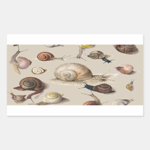 Sticker Rectangulaire Jardin d'escargots Animaux de compagnie Gastropod