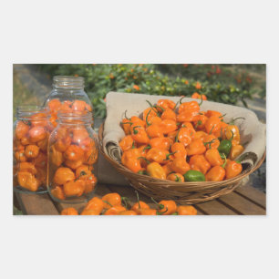 Sticker Rectangulaire Jardin Habanero