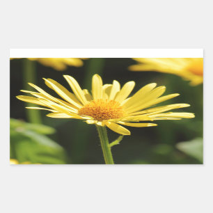 Sticker Rectangulaire Jaune