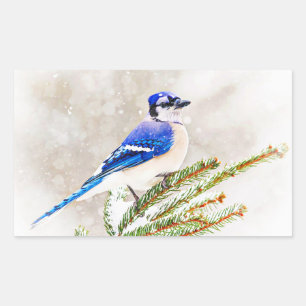 Sticker Rectangulaire Jay bleu en hiver