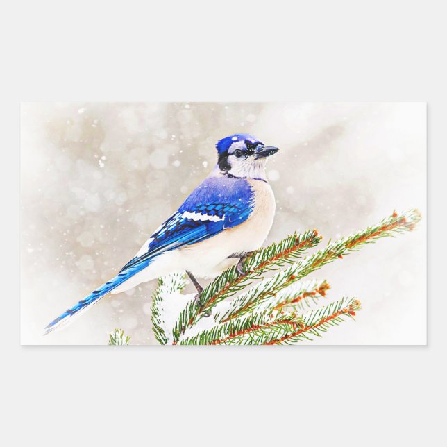 Sticker Rectangulaire Jay bleu en hiver (Devant)