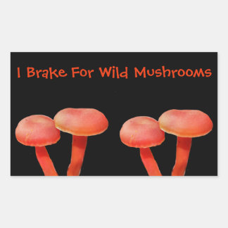 Sticker Rectangulaire Je Braque Pour Champignons Mignonne Nature