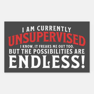 Sticker Rectangulaire Je Ne Suis Actuellement Pas Supervisé