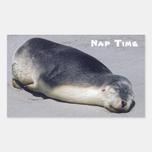 Sticker Rectangulaire Jeune phoque dormant sur la plage - Australie