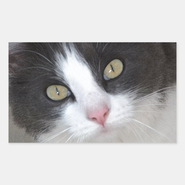 Sticker Rectangulaire Joli chat gris et blanc (Devant)