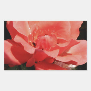 Sticker Rectangulaire Joli rose rose Peach floral