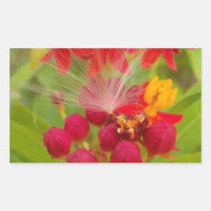 Sticker Rectangulaire Jolie florale colorée avec Milkweed Art Imprimer