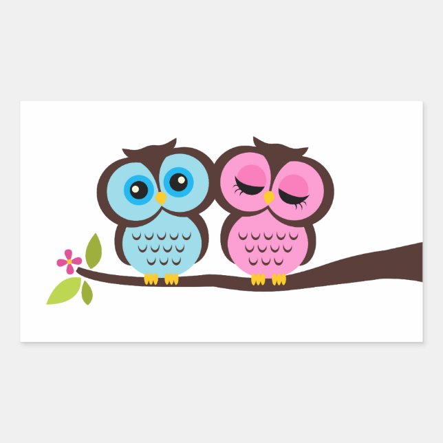 Sticker Rectangulaire Jolies Chouettes (Devant)