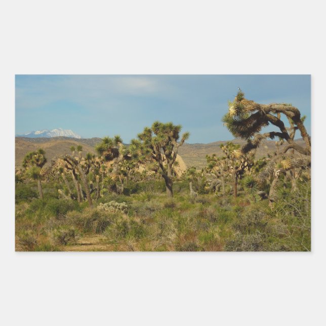 Sticker Rectangulaire Joshua Tree National Park Paysage du désert (Devant)