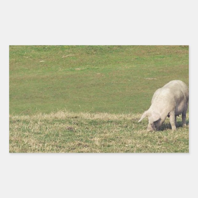 Sticker Rectangulaire Joyeux porc (Devant)