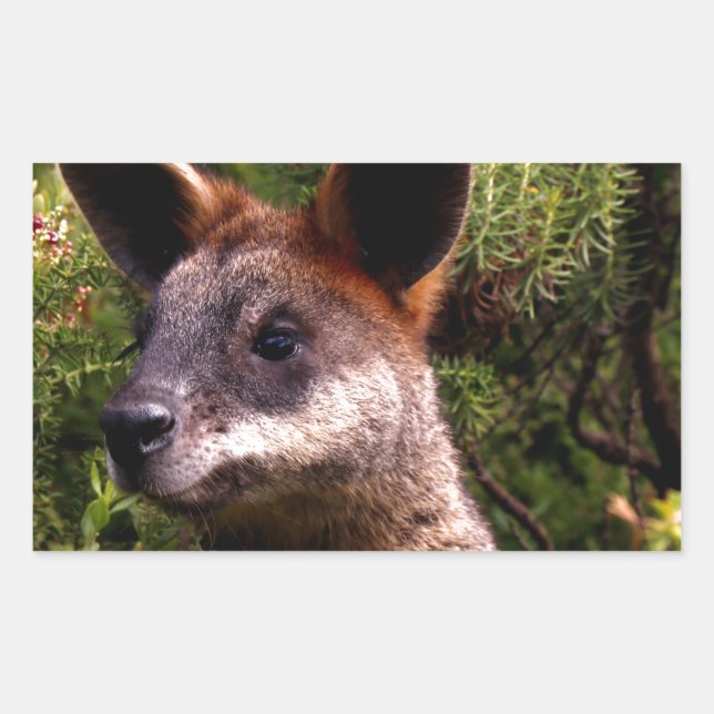 Sticker Rectangulaire Kangaroo (Devant)