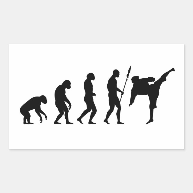 Sticker Rectangulaire karate kick evolution (Devant)