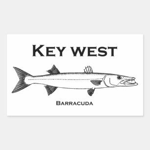 Sticker Rectangulaire Key West Barracuda