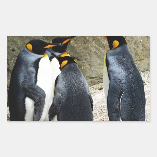 Sticker Rectangulaire King Penguin (Devant)