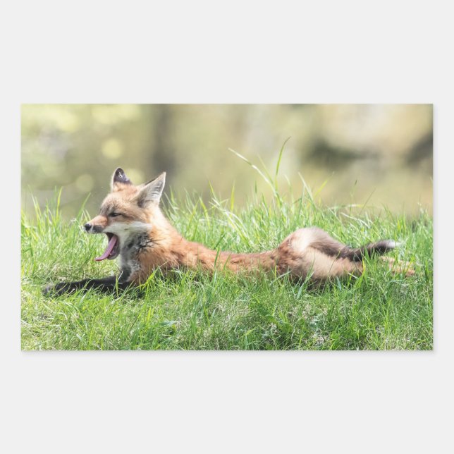Sticker Rectangulaire Kit Red Fox (Devant)