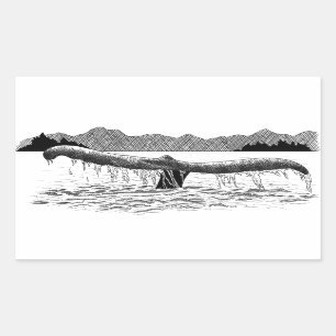 Sticker Rectangulaire La baleine