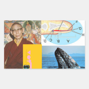 Sticker Rectangulaire La baleine à ongles