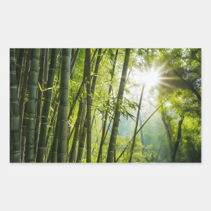 Sticker Rectangulaire La forêt de Bamboo