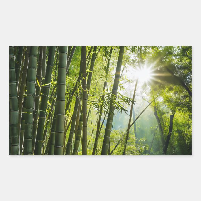 Sticker Rectangulaire La forêt de Bamboo (Devant)