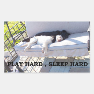 Sticker Rectangulaire Labrador Retriever Travail Dur Sommeil Dur