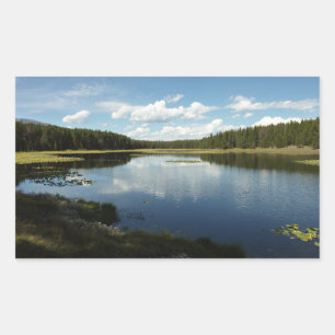 Sticker Rectangulaire Lac des Cygnes II au Grand Teton National Park
