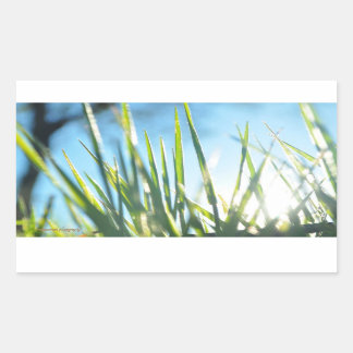 Sticker Rectangulaire Lames éclairées