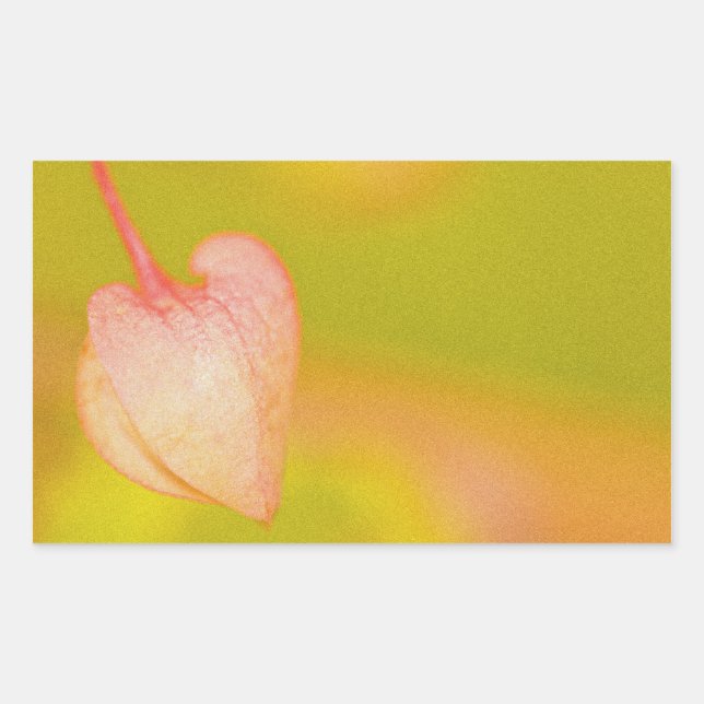Sticker Rectangulaire l'amour s'incline (Devant)