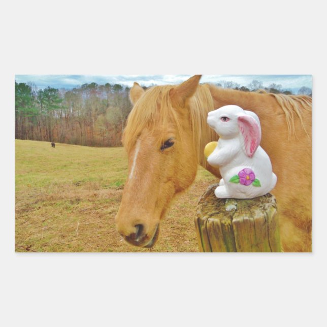 Sticker Rectangulaire Lapin blanc et cheval jaune blond (Devant)