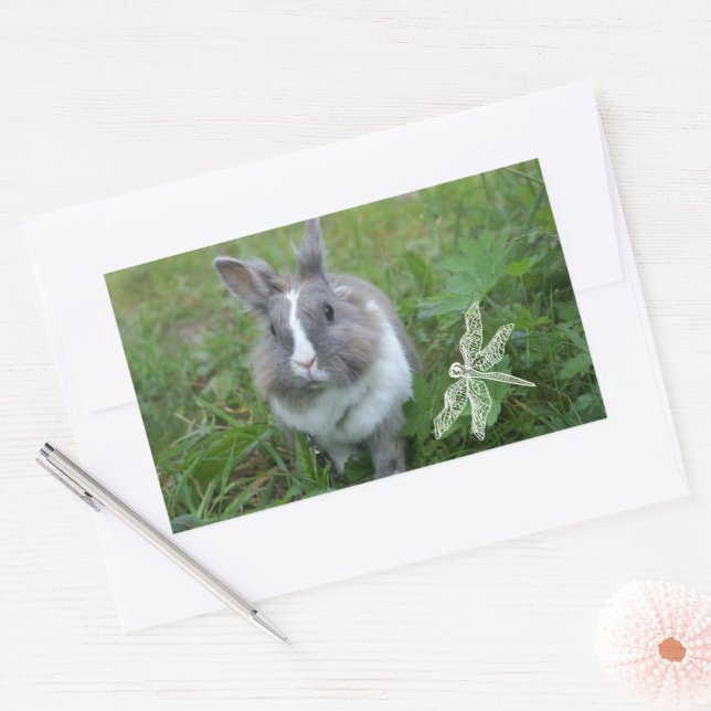 Sticker Rectangulaire Lapin lapin (Enveloppe)