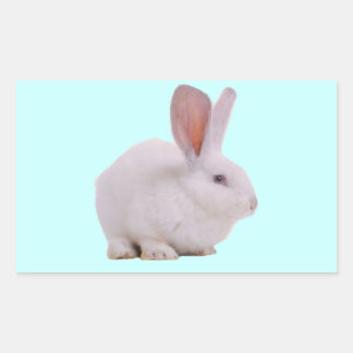 Sticker Rectangulaire Lapin Mignon Kawaii