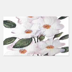 Sticker Rectangulaire L'art floral Rose Ballerina