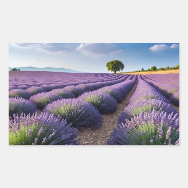 Sticker Rectangulaire Lavande Nature Extérieur Paysage Calme Tranquille (Devant)