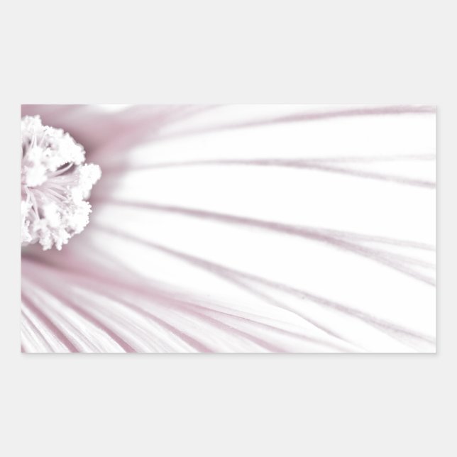 Sticker Rectangulaire Lavatera Flower Macro (Devant)