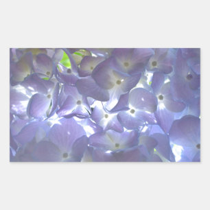 Sticker Rectangulaire Lavender Hydrangeas